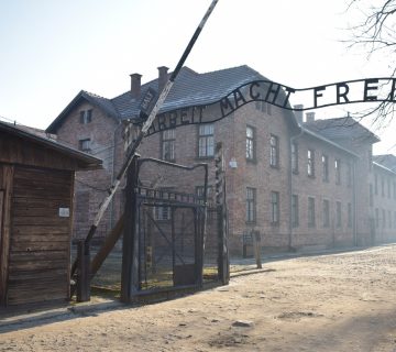 Auschwitz 360x320